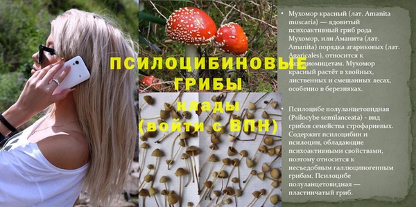 первитин Богородск