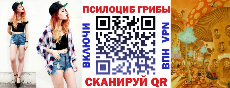 Галлюциногенные грибы Psilocybe  Будённовск 