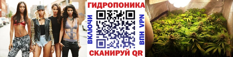 закладка  Будённовск  Марихуана гибрид 